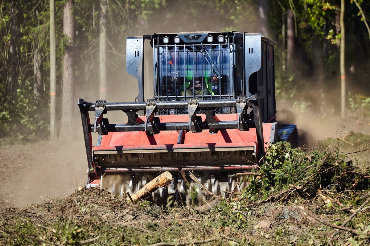 Land Clearing Maine | Clear Brush, Remove Trees & Stumps | Pine State ...